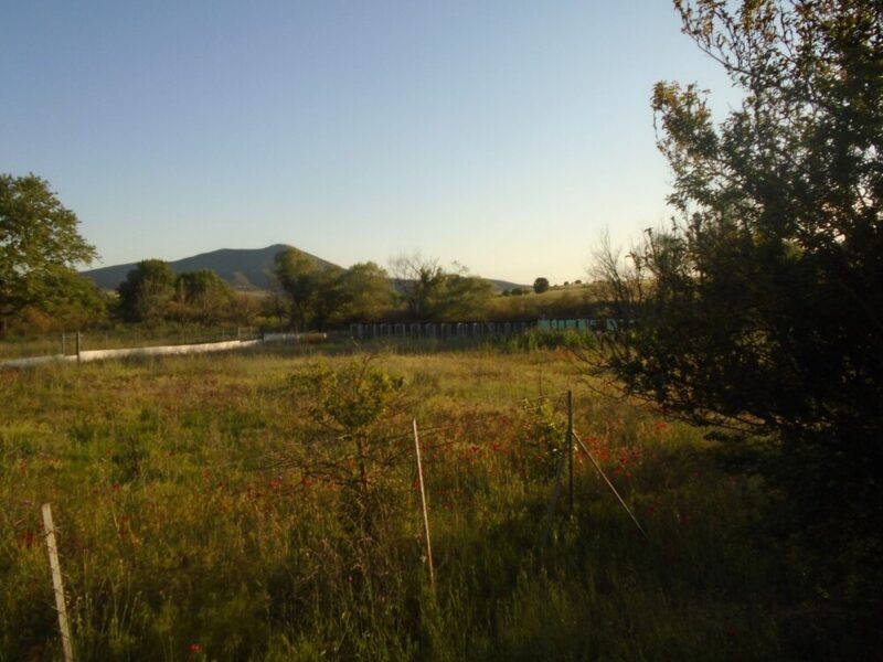 Πωλείται Ξενοδοχείο σκύλων στο εξαμίλι - Image 15