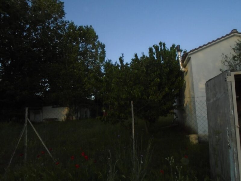 Πωλείται Ξενοδοχείο σκύλων στο εξαμίλι - Image 25